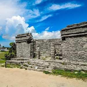 https://alika-204-at-gardens-tulum.quintano-roohotels.com